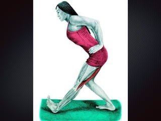 Alongamentos   imagens exemplos