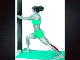 Alongamentos   imagens exemplos