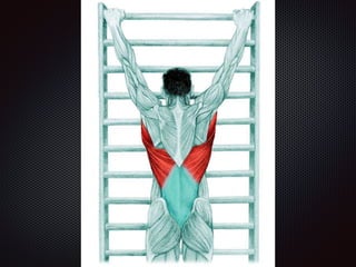 Alongamentos   imagens exemplos