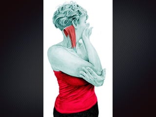 Alongamentos   imagens exemplos