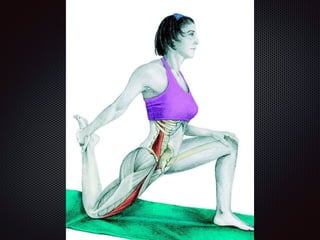 Alongamentos   imagens exemplos