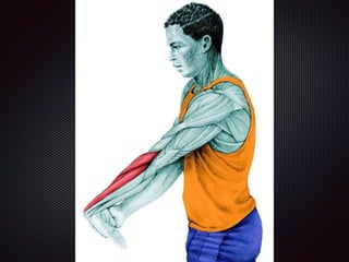 Alongamentos   imagens exemplos