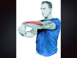 Alongamentos   imagens exemplos