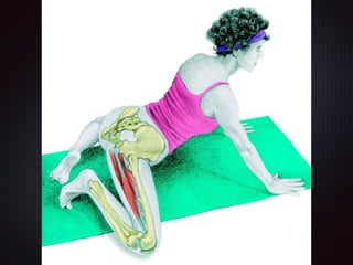 Alongamentos   imagens exemplos