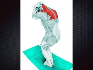 Alongamentos   imagens exemplos