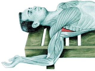 Alongamentos   imagens exemplos