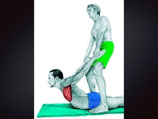 Alongamentos   imagens exemplos