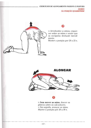 Alongamentos para todos