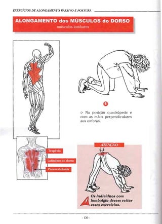 Alongamentos para todos