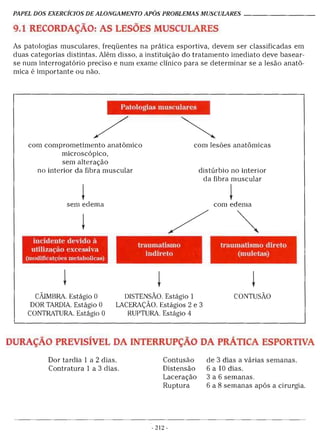 Alongamentos para todos