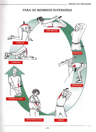 Alongamentos para todos