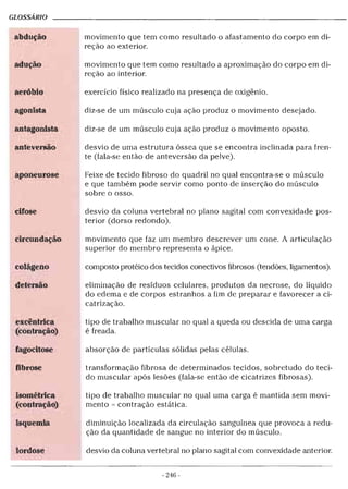 Alongamentos para todos