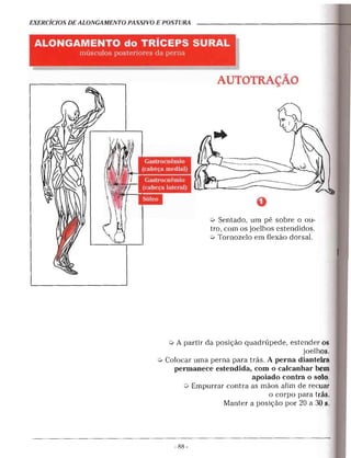 Alongamentos para todos