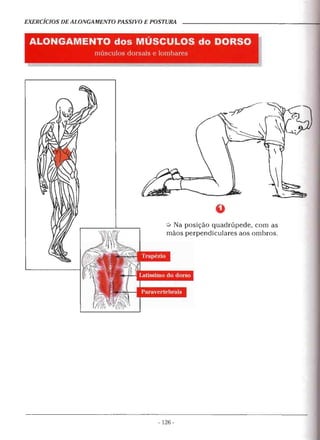 Alongamentos para todos