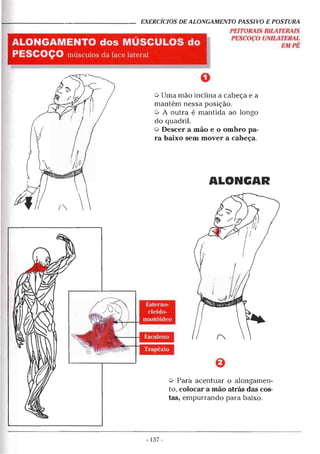 Alongamentos para todos