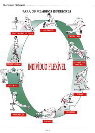 Alongamentos para todos