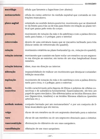 Alongamentos para todos