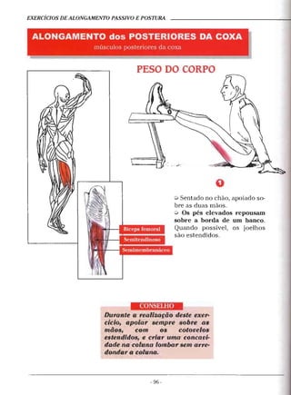 Alongamentos para todos