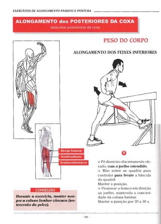 Alongamentos para todos