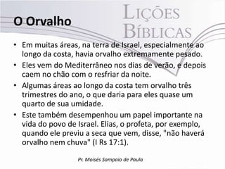 O Orvalho
• Em muitas áreas, na terra de Israel, especialmente ao
  longo da costa, havia orvalho extremamente pesado.
• Eles vem do Mediterrâneo nos dias de verão, e depois
  caem no chão com o resfriar da noite.
• Algumas áreas ao longo da costa tem orvalho três
  trimestres do ano, o que daria para eles quase um
  quarto de sua umidade.
• Este também desempenhou um papel importante na
  vida do povo de Israel. Elias, o profeta, por exemplo,
  quando ele previu a seca que vem, disse, "não haverá
  orvalho nem chuva" (I Rs 17:1).
                  Pr. Moisés Sampaio de Paula
 