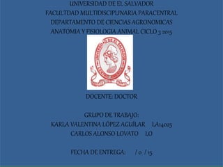 UNIVERSIDAD DE EL SALVADOR
FACULTDAD MULTIDISCIPLINARIA PARACENTRAL
DEPARTAMENTO DE CIENCIAS AGRONOMICAS
ANATOMIA Y FISIOLOGIA ANIMAL CICLO 3 2015
DOCENTE: DOCTOR
GRUPO DE TRABAJO:
KARLA VALENTINA LÓPEZ AGUÍLAR LA14025
CARLOS ALONSO LOVATO LO
FECHA DE ENTREGA: / 0 / 15
 