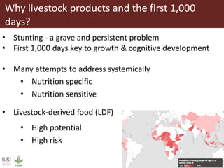 The influence of livestock-derived foods on the nutrition of mothers and infants in developing countries during the first 1,000 days