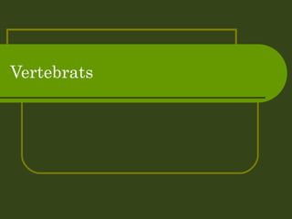Vertebrats  