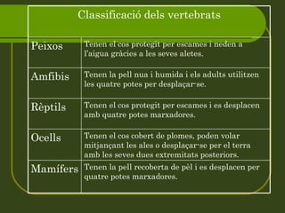 Classificació dels vertebrats Peixos  Tenen el cos protegit per escames i neden a l’aigua gràcies a les seves aletes. Amfibis  Tenen la pell nua i humida i els adults utilitzen les quatre potes per desplaçar-se. Rèptils  Tenen el cos protegit per escames i es desplacen amb quatre potes marxadores. Ocells  Tenen el cos cobert de plomes, poden volar mitjançant les ales o desplaçar-se per el terra amb les seves dues extremitats posteriors. Mamífers Tenen la pell recoberta de pèl i es desplacen per quatre potes marxadores. 