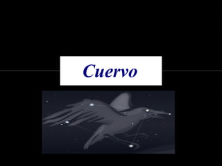 Cuervo 
 
