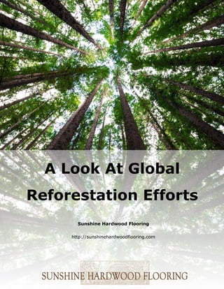 Sunshine Hardwood Flooring
http://sunshinehardwoodflooring.com
A Look At Global
Reforestation Efforts
 