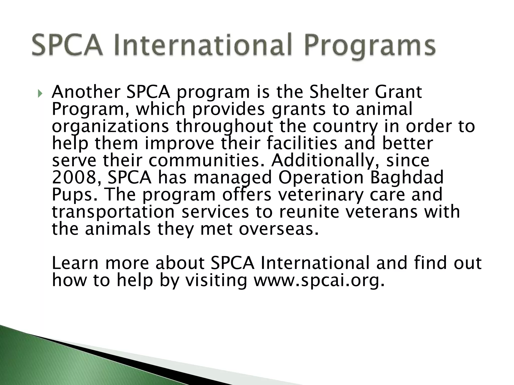 A Look at SPCA International Programs