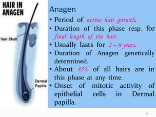 19
Anagen
• Period of active hair growth.
• Duration of this phase resp. for
final length of the hair.
• Usually lasts for 2 – 6 years.
• Duration of Anagen genetically
determined.
• About 85% of all hairs are in
this phase at any time.
• Onset of mitotic activity of
epithelial cells in Dermal
papilla.
 