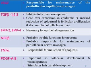 VEGF 1. Responsible for maintenance of the
perifollicular capillaries in anagen
TGFβ -1,2,3 1. Inhibits follicular development
2. Gene over expression in epidermis  marked
reduction of epidermal & follicular proliferation
& dec. number of follicles in mice
BMP-2, BMP-4 1. Necessary for epithelial regeneration
NBFβ 1. Probably trophic functions for neurons
2. Probably responsible for maintenance of
perifollicular nerves in anagen
TNFα 1. Responsible for induction of apoptosis
PDGF-A,B 1. Important in follicular development &
vasculogenesis
2. Stimulates hair canal development 30
 