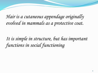 Hair is a cutaneous appendage originally
evolved in mammals as a protective coat.
It is simple in structure, but has important
functions in social functioning
4
 