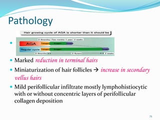 Pathology
 l
 Marked reduction in terminal hairs
 Miniaturization of hair follicles  increase in secondary
vellus hairs
 Mild perifollicular infiltrate mostly lymphohistiocytic
with or without concentric layers of perifollicular
collagen deposition
75
 