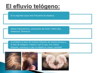 Es la segunda causa más frecuente de alopecia.
(dietas hipocalóricas, situaciones de estrés, fiebre alta,
embarazo, fármacos)
se produce el paso de muchos folículos de manera brusca a
la fase de telógeno, (reposo ) por lo que, tres meses
después, comienza a caer el cabello en mayor cantidad
 