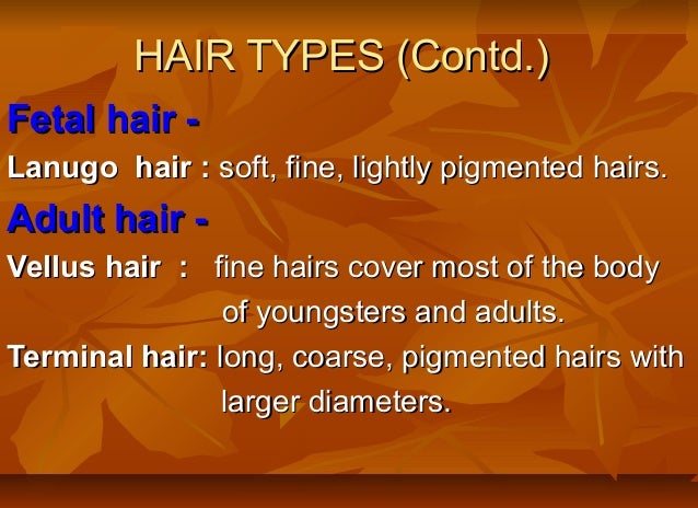 Haircrowns