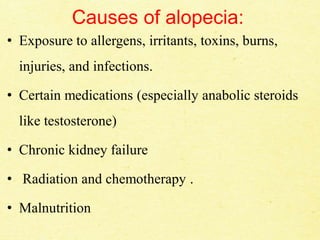 Causes of alopecia:
• Exposure to allergens, irritants, toxins, burns,
injuries, and infections.
• Certain medications (especially anabolic steroids
like testosterone)
• Chronic kidney failure
• Radiation and chemotherapy .
• Malnutrition
 