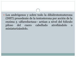  Los andrógenos y sobre todo la dihidrotestosterona 
(DHT) procedente de la testosterona por acción de la 
enzima 5 -alfareductasa– actúan a nivel del folículo 
piloso del cuero cabelludo atrofiándolo o 
miniaturizándolo. 
 