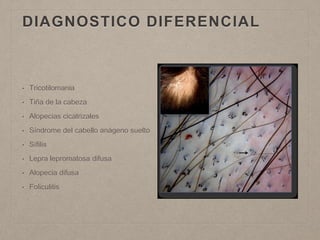 DIAGNOSTICO DIFERENCIAL 
• Tricotilomania 
• Tiña de la cabeza 
• Alopecias cicatrizales 
• Síndrome del cabello anágeno suelto 
• Sífilis 
• Lepra lepromatosa difusa 
• Alopecia difusa 
• Foliculitis 
 