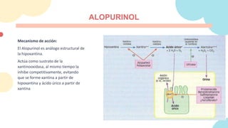 ALOPURINOL
Mecanismo de acción:
El Alopurinol es análogo estructural de
la hipoxantina.
Actúa como sustrato de la
xantinooxidasa, al mismo tiempo la
inhibe competitivamente, evitando
que se forme xantina a partir de
hipoxantina y ácido úrico a partir de
xantina
 