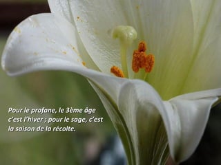 Pour le profane, le 3ème âgePour le profane, le 3ème âge
c’est l’hiver ; pour le sage, c’estc’est l’hiver ; pour le sage, c’est
la saison de la récolte.la saison de la récolte.
 