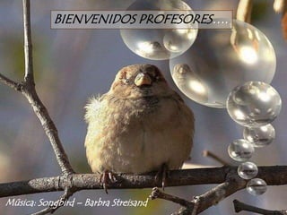 BIENVENIDOS PROFESORES….




Música: Songbird – Barbra Streisand
 