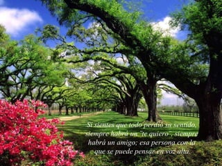 Si sientes que todo perdió su sentido,  siempre habrá un ¨te quiero¨, siempre  habrá un amigo; esa persona con la  que se puede pensar en voz alta. 