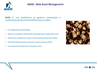 WAM e’ una piattaforma di gestione centralizzata e
multiaccesso per gli asset di telefonia fissa e mobile.
• È un’applicazione web-based.
• Utilizza un database relazionale interrogato da un applicativo Java.
• Gestisce le consistenze sia per il servizio di fonia fisso che mobile.
• Permette di discriminare l’accesso in base ai diversi profili.
• Lo strumento di reportistica è basato su B.O.
12
WAM : Web Asset Management
 