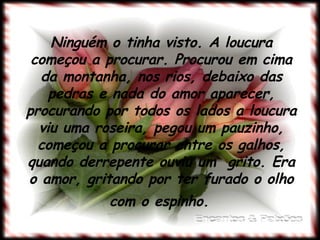 Ninguém o tinha visto. A loucura começou a procurar. Procurou em cima da montanha, nos rios, debaixo das pedras e nada do amor aparecer, procurando por todos os lados a loucura viu uma roseira, pegou um pauzinho, começou a procurar entre os galhos, quando derrepente ouviu um  grito. Era o amor, gritando por ter furado o olho com o espinho.   