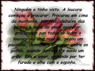 Ninguém o tinha visto. A loucura começou a procurar. Procurou em cima da montanha, nos rios, debaixo das pedras e nada do amor aparecer, procurando por todos os lados a loucura viu uma roseira, pegou um pauzinho, começou a procurar entre os galhos, quando derrepente ouviu um  grito. Era o amor, gritando por ter furado o olho com o espinho.   