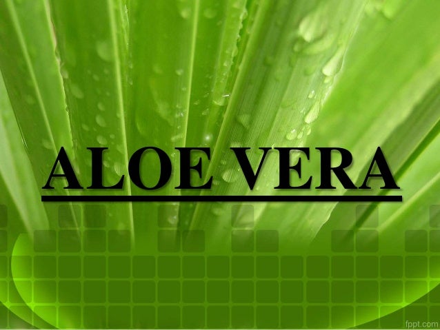 Alovera