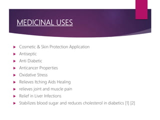 MEDICINAL USES
 Cosmetic & Skin Protection Application
 Antiseptic
 Anti Diabetic
 Anticancer Properties
 Oxidative Stress
 Relieves Itching Aids Healing
 relieves joint and muscle pain
 Relief in Liver Infections
 Stabilizes blood sugar and reduces cholesterol in diabetics [1] [2]
 