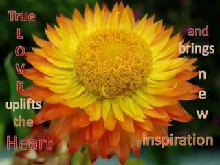 A loving heart 9